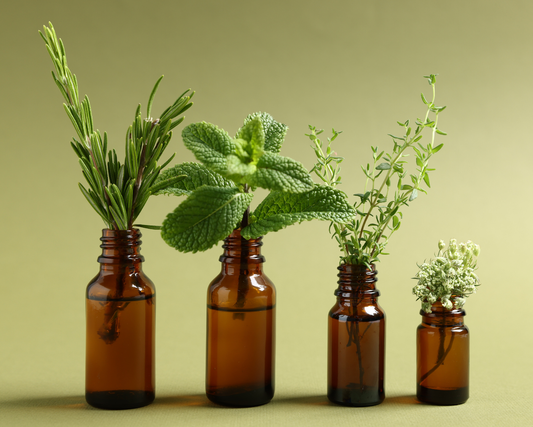 Green herbs Growing in Amber Glass Bottles with a green background.