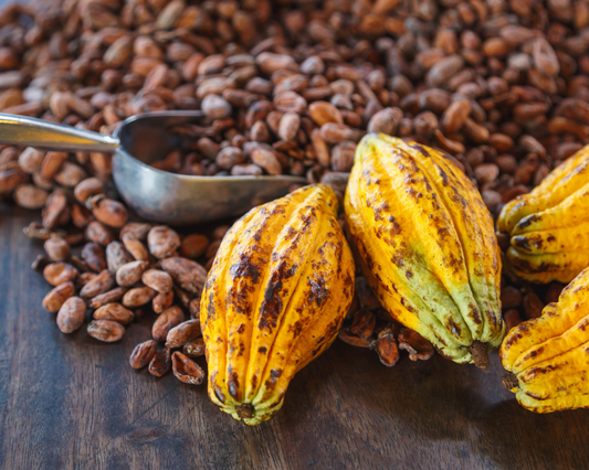 Cocoa Poda and Beans