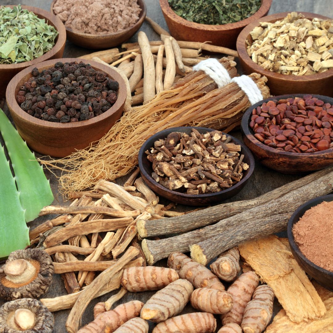 A variety of plants, roots, vegetables, berries and nuts clustered together, with some items in wooden bowls, or tied together with twine.