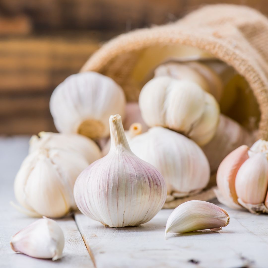 Several bulbs of garlic spilling out of a burlap bag