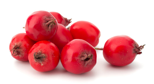 Close up of a small bunch of hawthorn berries.