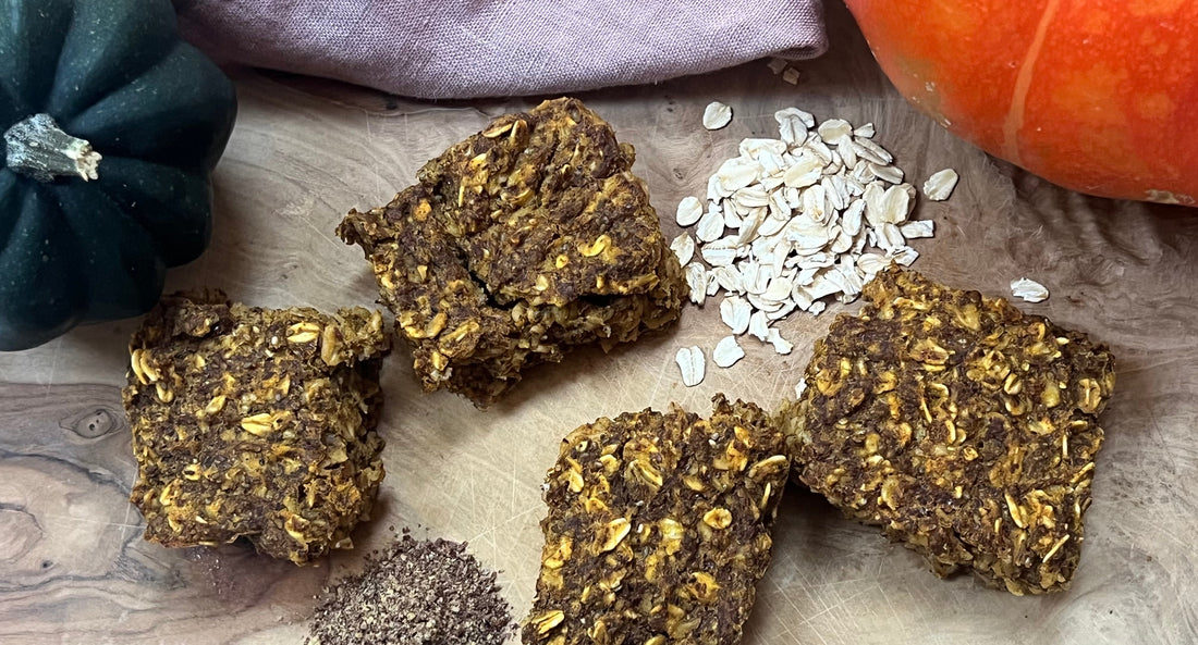 Pumkin bars on a cutting board with a pumpkin a and a green gourd 