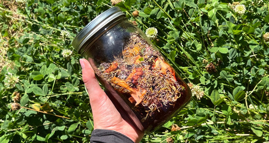 Herbs and water in a jar in the sun. Held over the grass