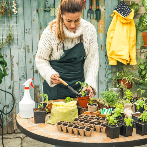 A woman in a gardening shed with several different sized pots on a table with small plants in them