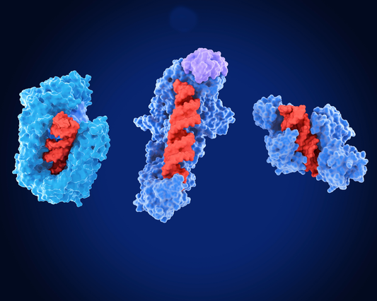 Enzymes