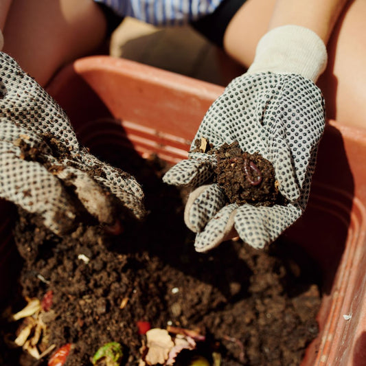 close up of composted dirt bucket with gloved hands holding some of the dirt