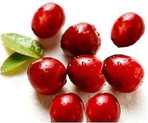 A Brief History About the Uses of Cranberries