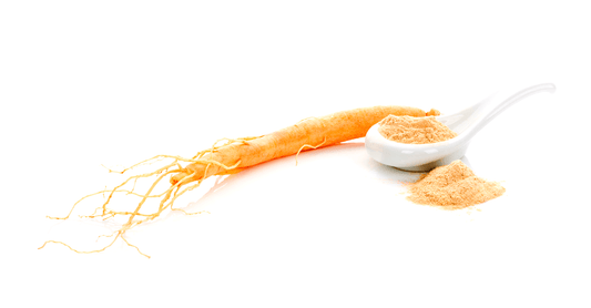 Singular ginseng root next to white spoon filled with ginseng powder, with powder next to spoon.