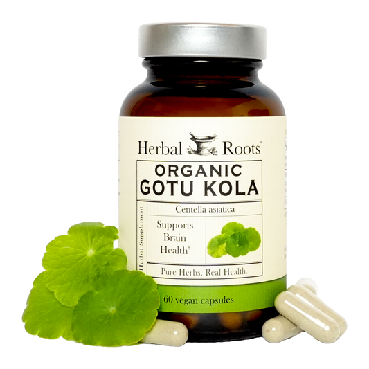Gotu kola orgánico