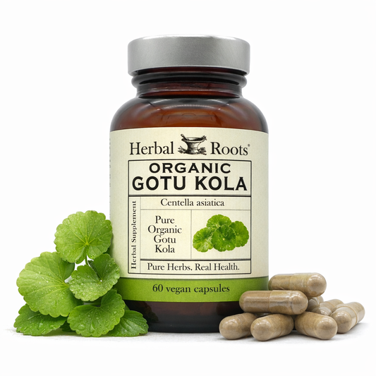 Herbal Roots Organic Gotu Kola supplement bottle with capsules on the right and leaves to the left on a white background.
