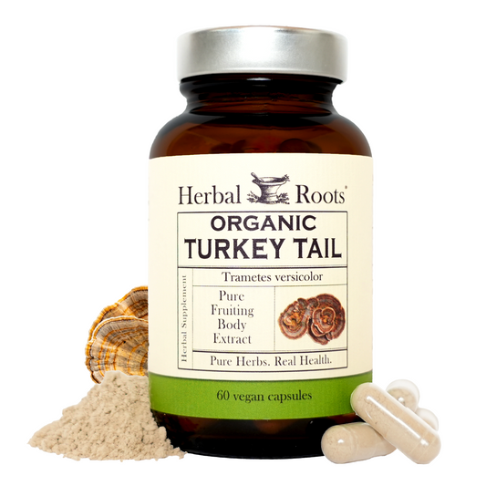 Bottle of Herbal Roots Organic Turkey Tail with capsules, powder and turkey tail mushroom
